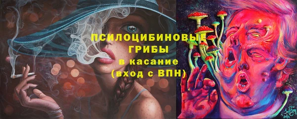 молекула духа Абинск