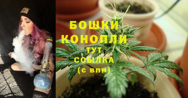 2c-b Абдулино