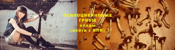молекула духа Абинск