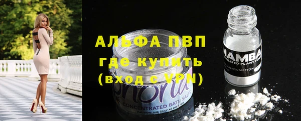 молекула духа Абинск