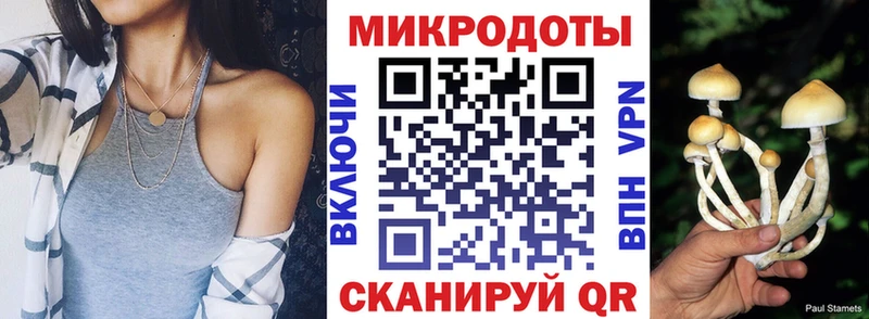 Псилоцибиновые грибы мухоморы  купить наркотик  Керчь 